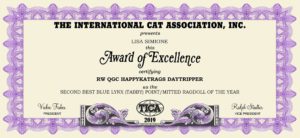 2019 TICA 2nd Best Blue Lynx