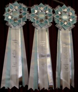 TICA 2019 Ribbons- Tripp and Maksim