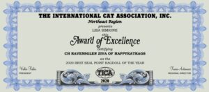 Ziva TICA Grand Champion Certificate 2020